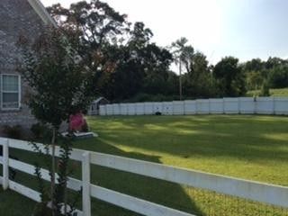 445 Drew Dr, Hollywood, AL 35752