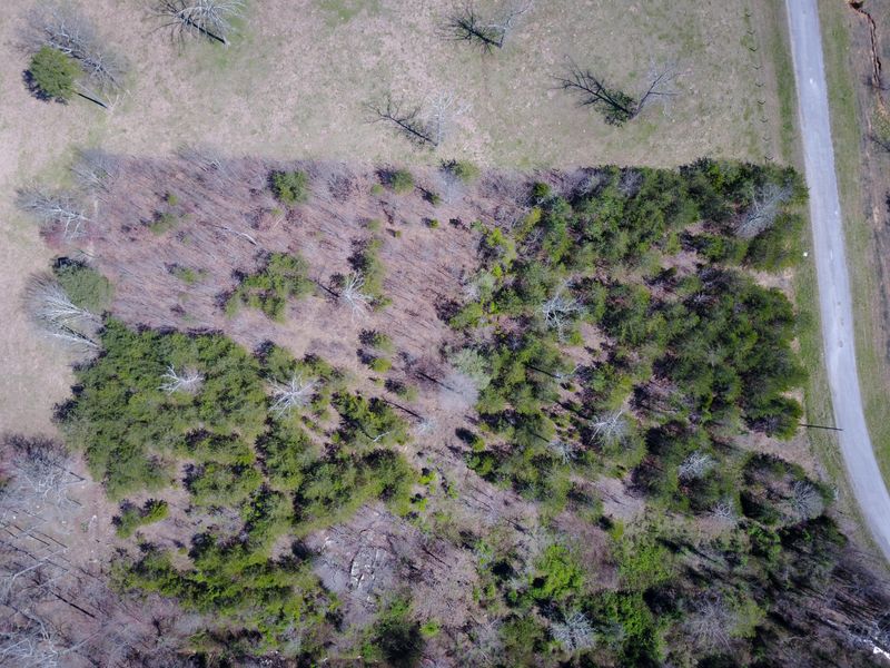 13 Hunter Trl, Trenton, GA 30752
