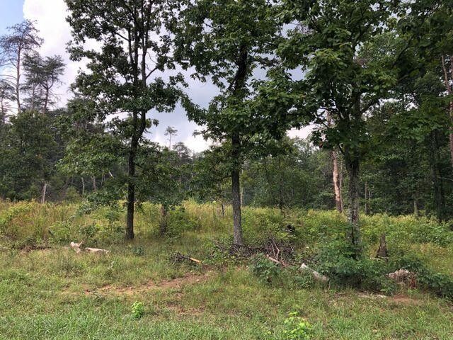 91 County Rd 9101, Higdon, AL 35979
