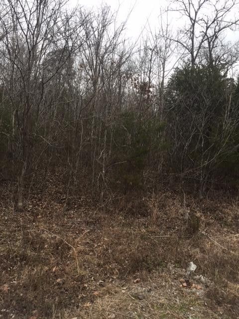 1 Mckaig Rd, Trenton, GA 30752