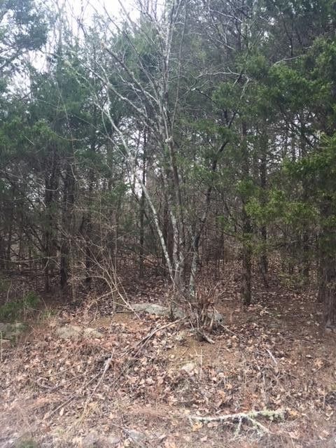 1 Mckaig Rd, Trenton, GA 30752