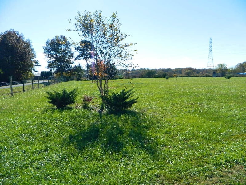 1234 County Road 291, Bryant, AL 35958