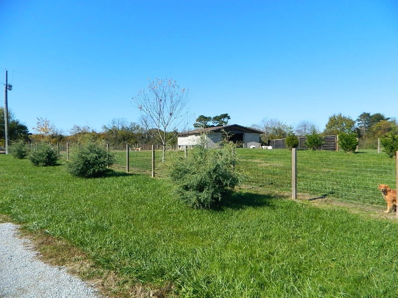 1234 County Road 291, Bryant, AL 35958