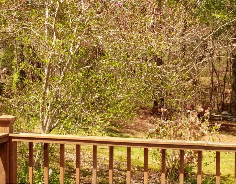 1925 County Road 165, Cedar Bluff, AL 35959