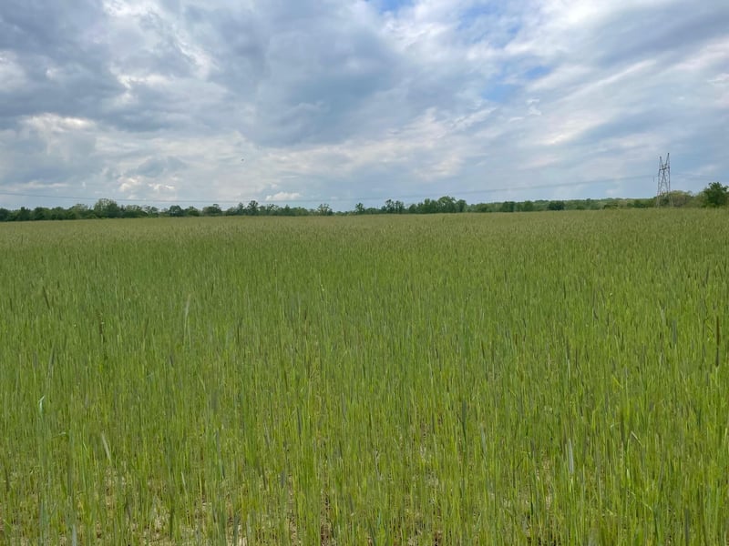 1 County Rd 291, Bryant, AL 35958