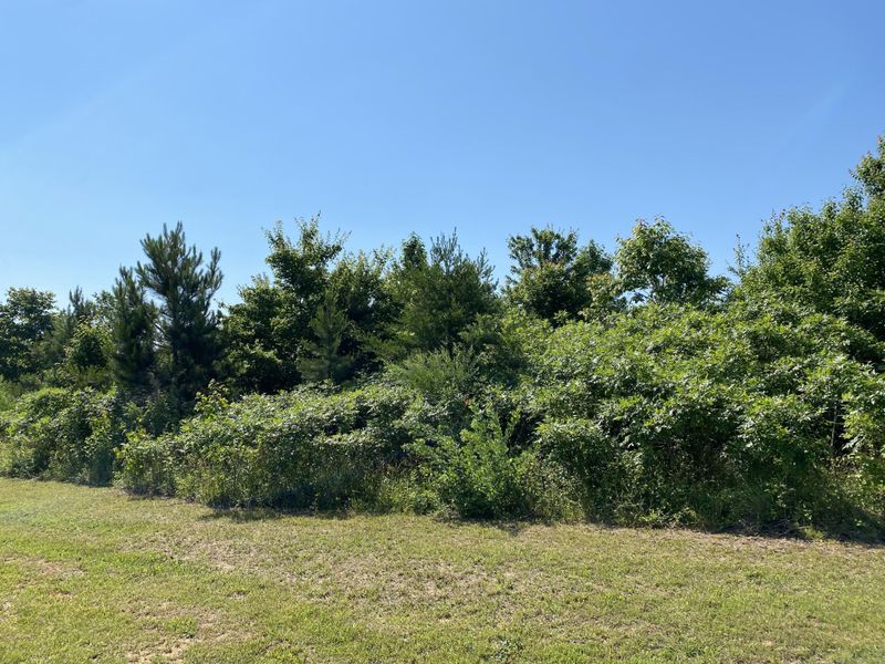 0 Castlehill Dr Lot 21, Bryant, AL 35958