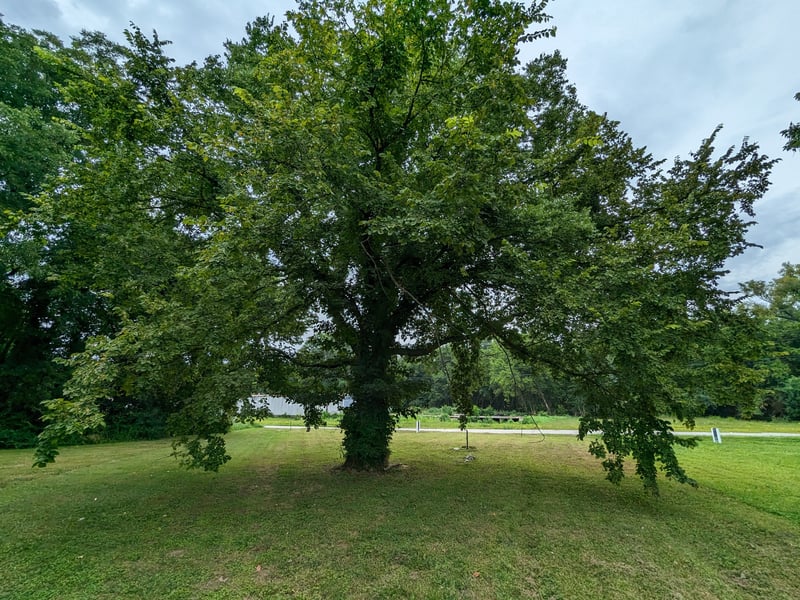 212 Boswell St, Mount Pleasant, TN 38474