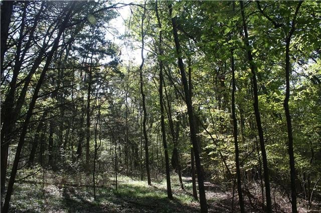 0 Highway 99, Eagleville, TN 37060
