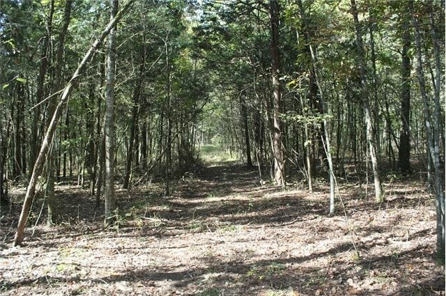0 Highway 99, Eagleville, TN 37060