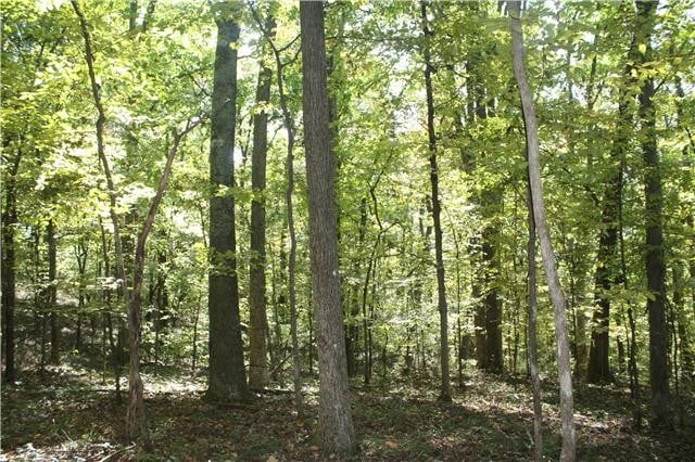 0 Highway 99, Eagleville, TN 37060