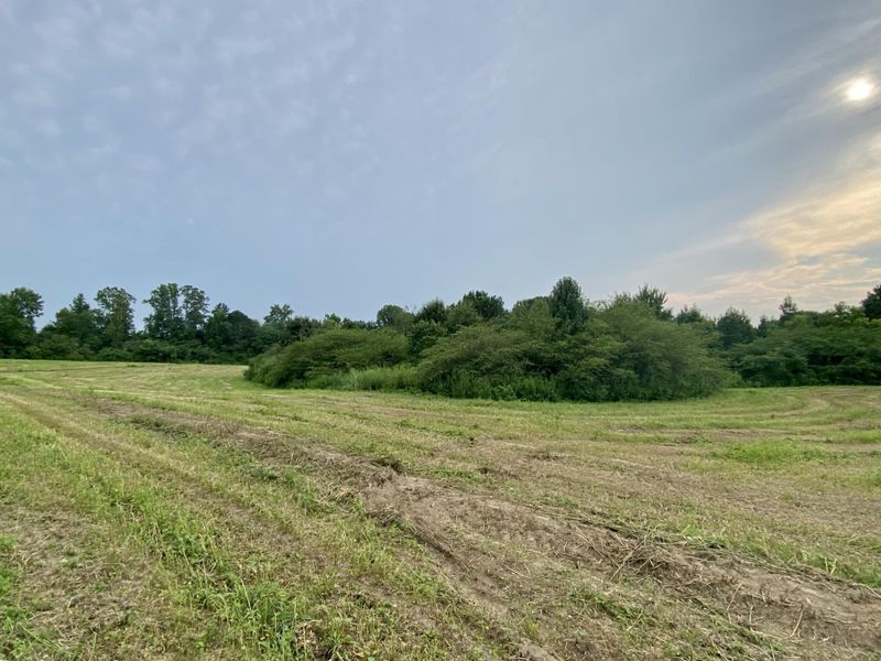 0 County Road 78, Pisgah, AL 35765