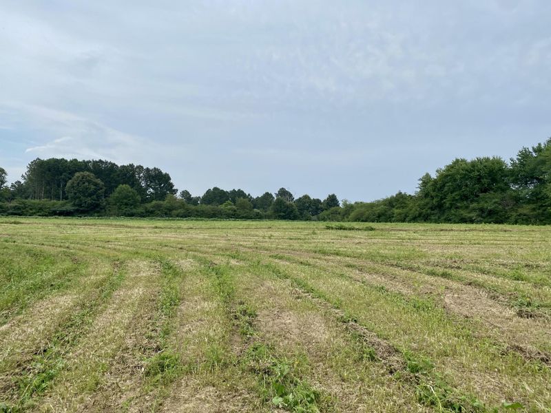 0 County Road 78, Pisgah, AL 35765