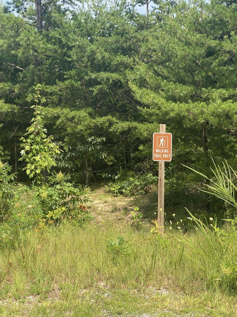0 N Deer Run Rd Lot 56, Trenton, GA 30752