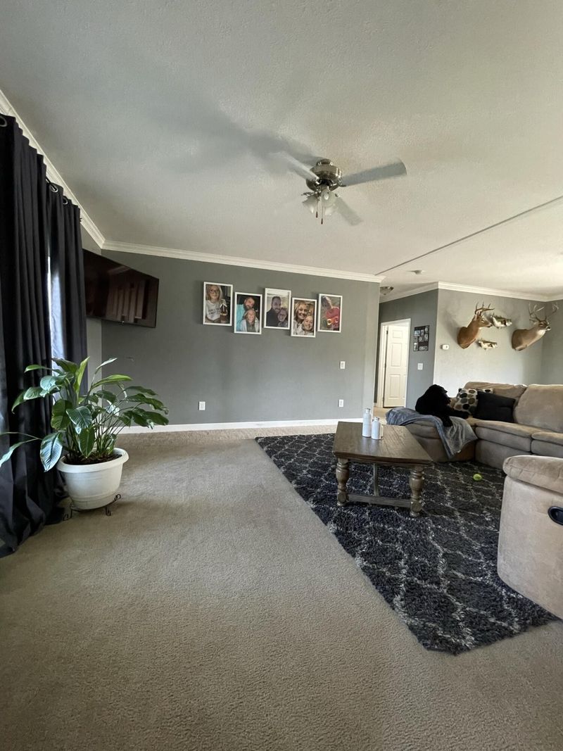 521 Lyman Daniel Rd, Trenton, GA 30752