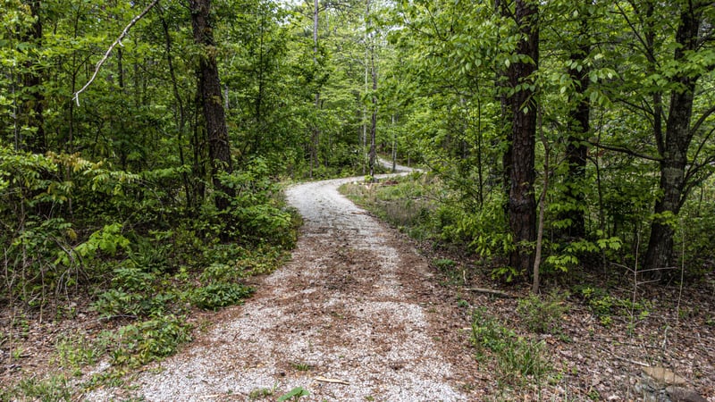 0 Co Rd 189, Bridgeport, AL 35740