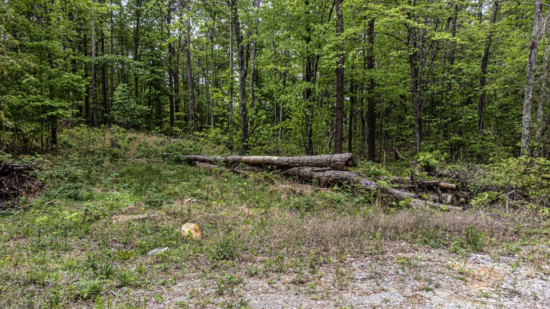 0 Co Rd 189, Bridgeport, AL 35740