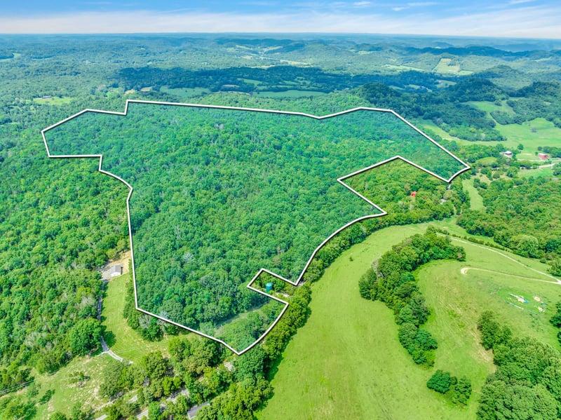 0 Kempville Hwy, Pleasant Shade, TN 37145
