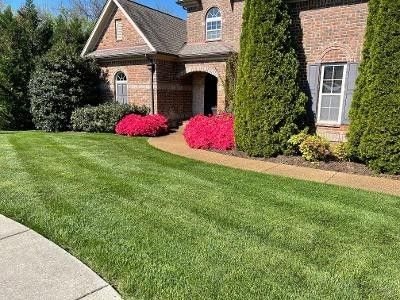 4003 Alice Springs Ct, Spring Hill, TN 37174