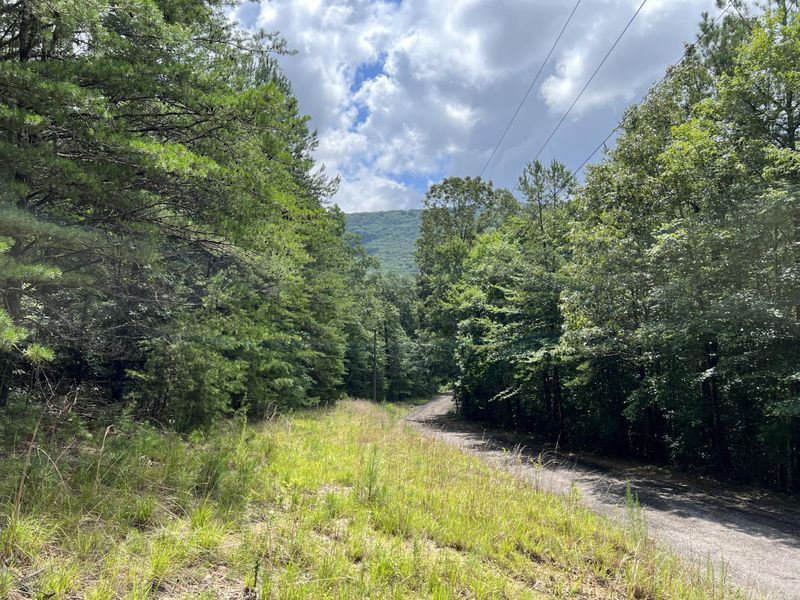 0 Miller Dr Lot 4, Rising Fawn, GA 30738