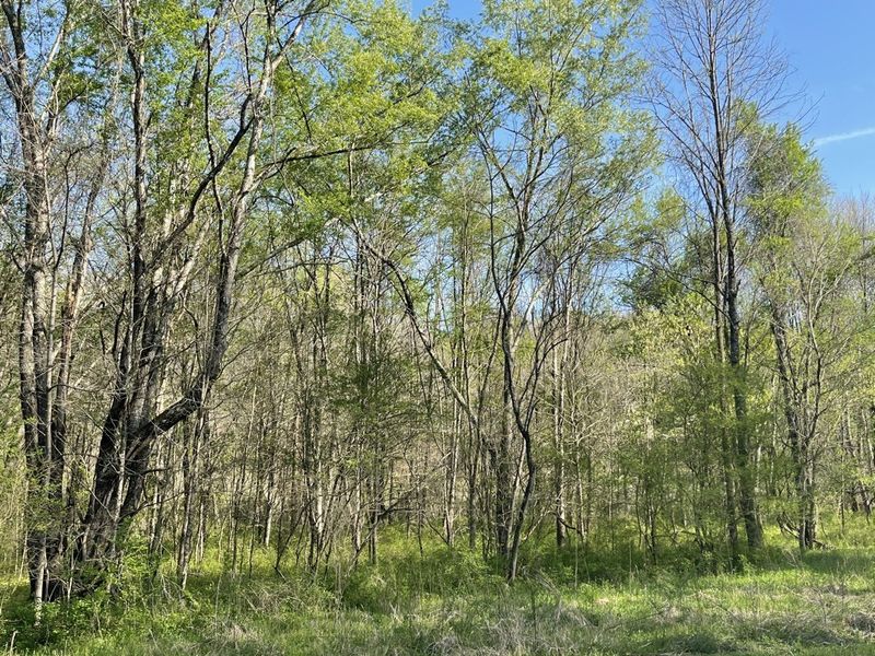 0 Dry Hl, Dickson, TN 37055