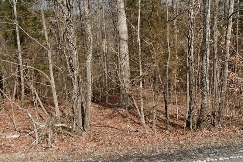 6471 Old Hickory Blvd Lot 5, Whites Creek, TN 37189