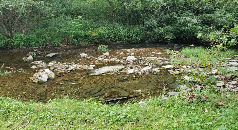1020 Deerfoot Dr, Pegram, TN 37143