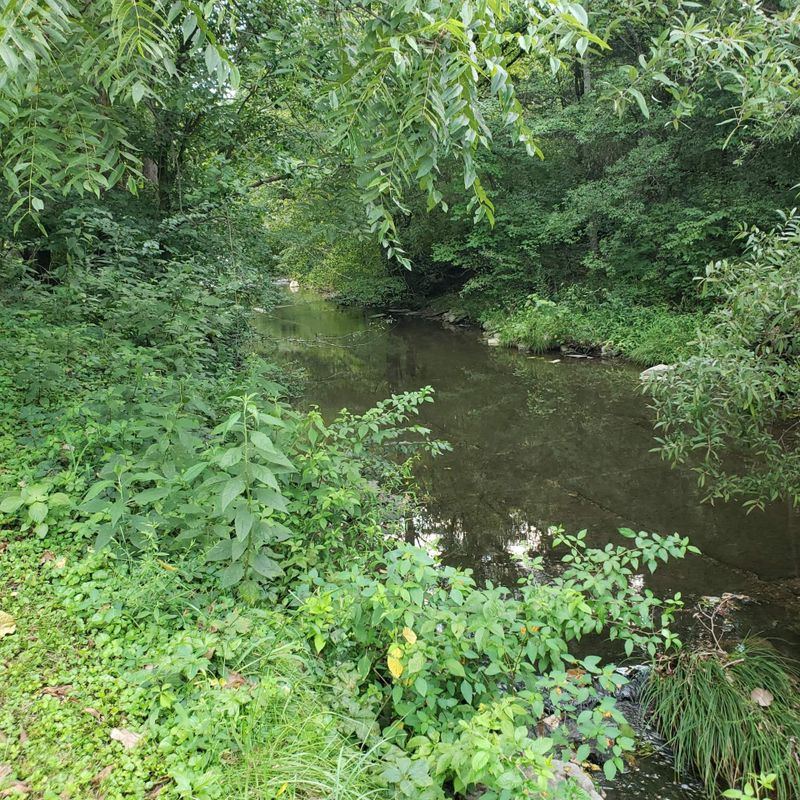 1020 Deerfoot Dr, Pegram, TN 37143