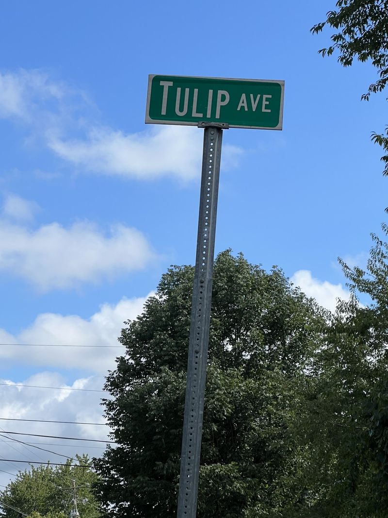 0 Tulip Ave, Lebanon, TN 37087