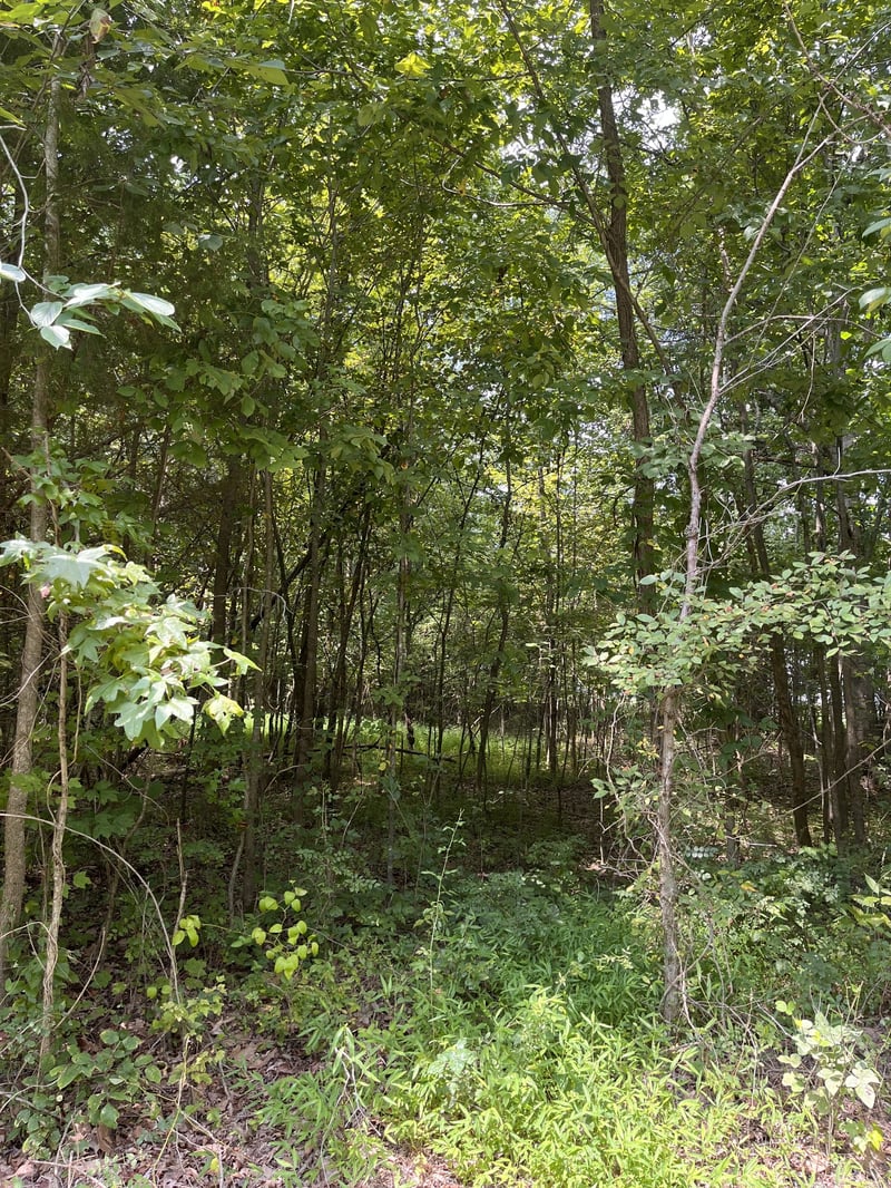 0 Fred Perry Rd, Springfield, TN 37172