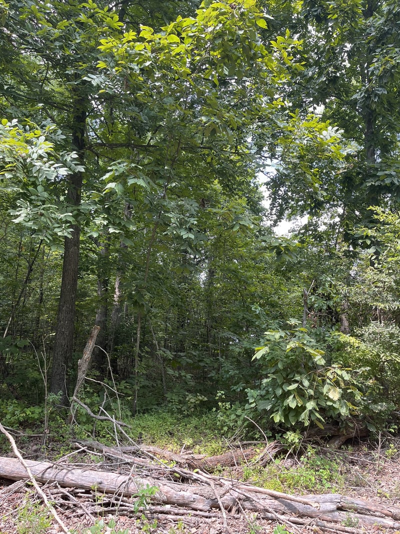 0 Fred Perry Rd, Springfield, TN 37172