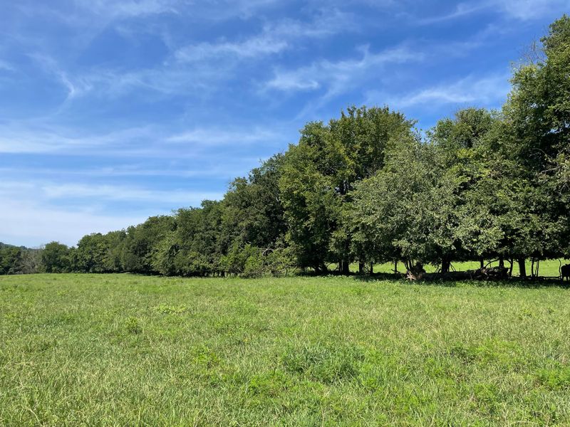 3890 Boston Theta Rd, Thompsons Station, TN 37179