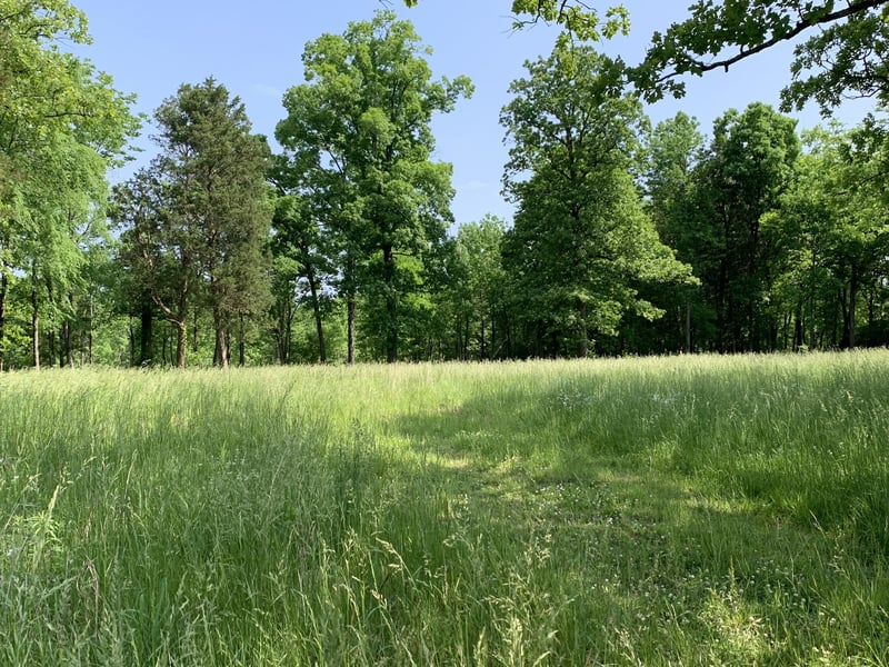4144 Maxwell Rd, Antioch, TN 37013
