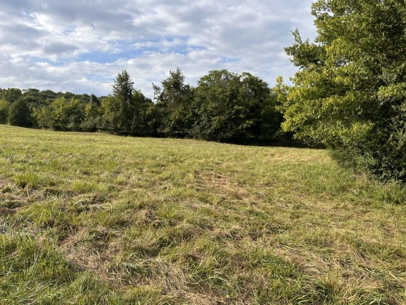 3413 Booker Farm Rd W, Mount Pleasant, TN 38474