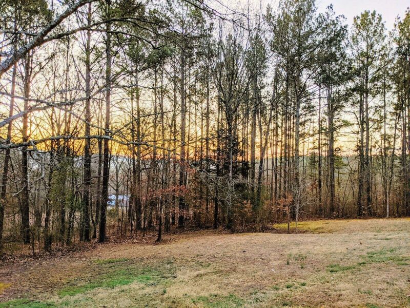 118 Cub Ln, Ringgold, GA 30736