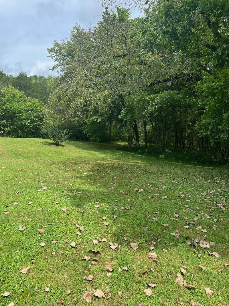 31 Patterson Ln, Pleasant Shade, TN 37145