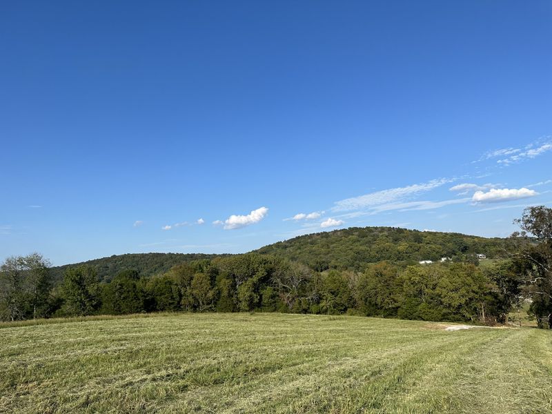 10 Opossum Hollow Rd, Watertown, TN 37184