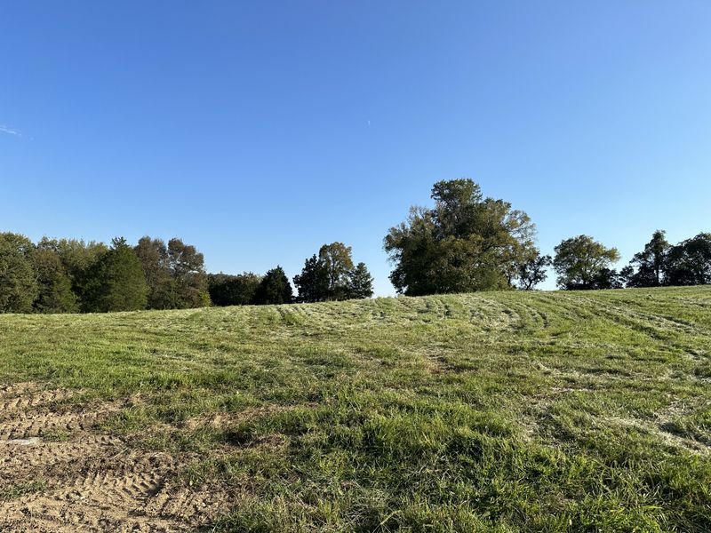 12 Opossum Hollow Rd, Watertown, TN 37184
