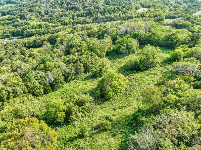 0 Grant Rd, Gordonsville, TN 38563