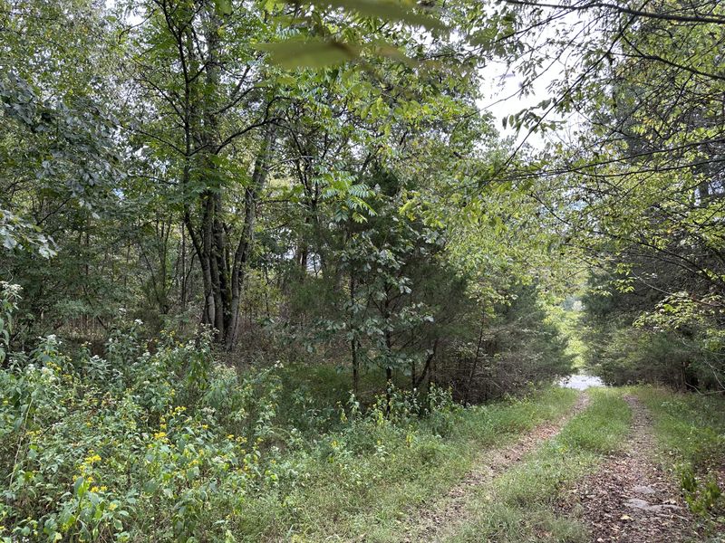 613 Dixon Springs Hwy, Riddleton, TN 37151