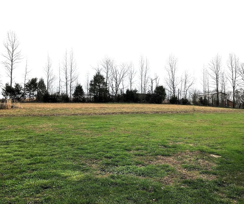 115 School St, Cumberland Furnace, TN 37051