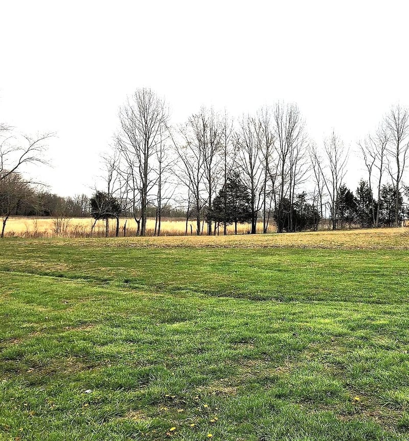 115 School St, Cumberland Furnace, TN 37051