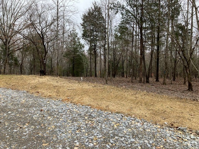 2 Barnhill Rd, Primm Springs, TN 38476