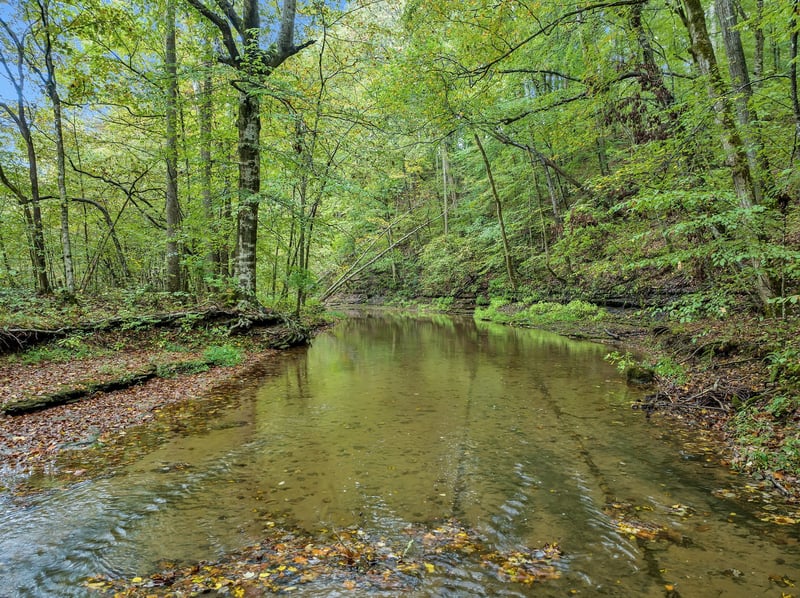 7767 Fernvale Rd, Fairview, TN 37062