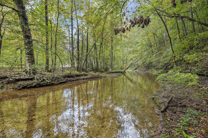 7767 Fernvale Rd, Fairview, TN 37062