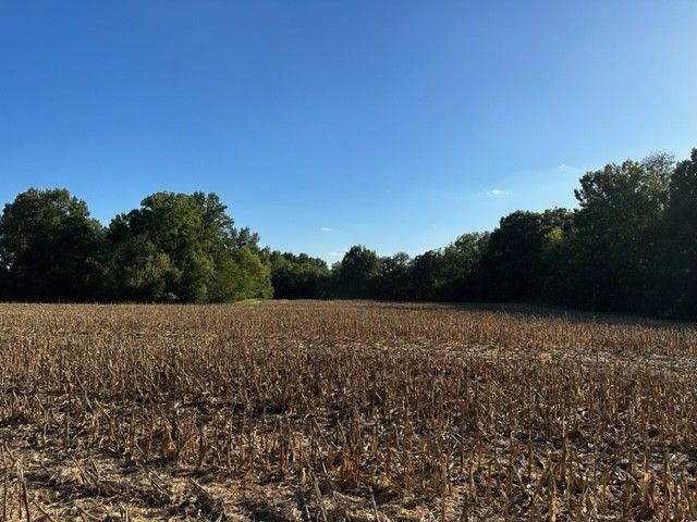 6200 Highway 161 Lot 1, Springfield, TN 37172