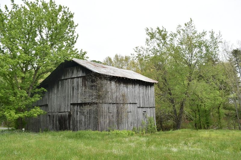 0 Dog Branch Rd S, Pleasant Shade, TN 37145