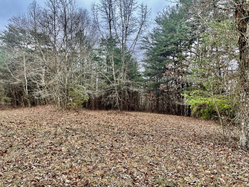 18 Denvil Dr, Trenton, GA 30752