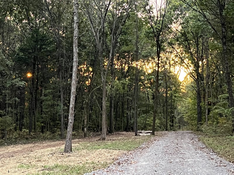 0 Patterson Rd, Rockvale, TN 37153