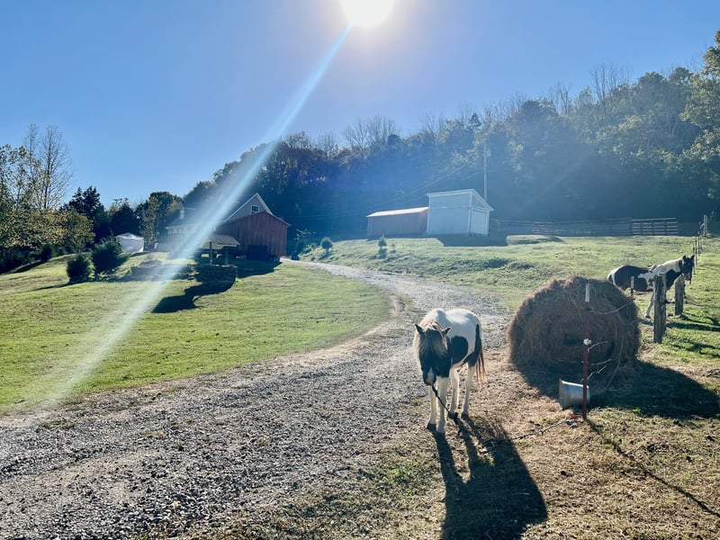209 Bowmans Branch Ln, Pleasant Shade, TN 37145
