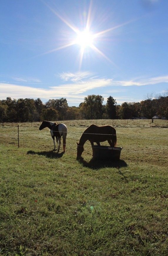 3529 Worsham Springs Rd, Greenbrier, TN 37073